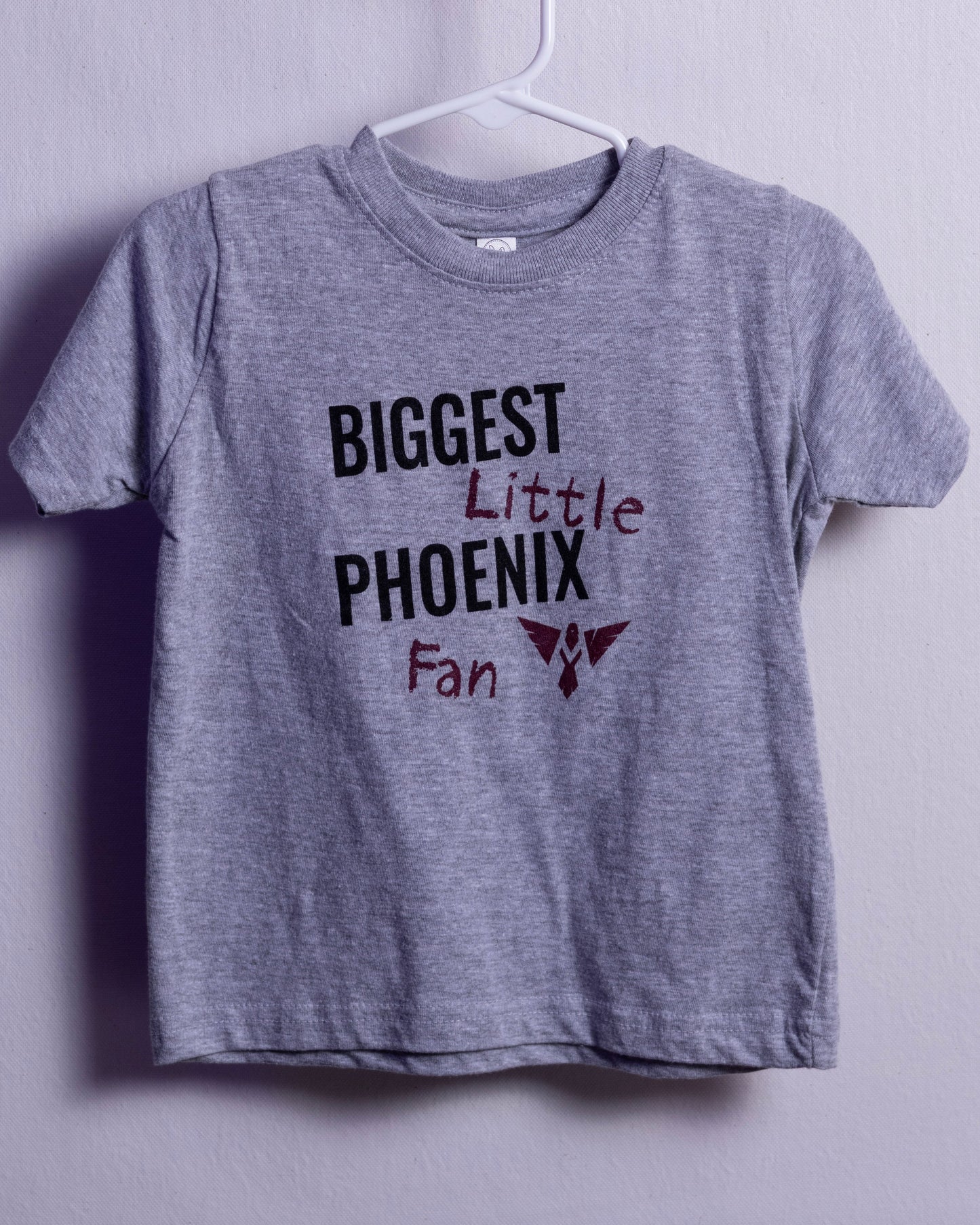 Toddler Biggest Little Phoenix Fan T-Shirt